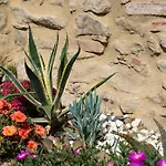 L'antico Casale Tuscany Charme & Unique Pool 5-star Holiday home