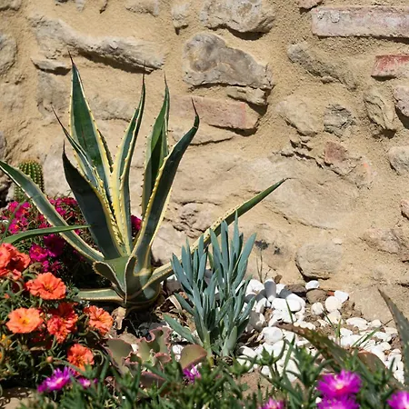 L'antico Casale Tuscany Charme & Unique Pool 5-star Σπίτι διακοπών