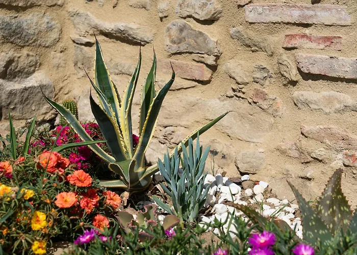 L'antico Casale Tuscany Charme & Unique Pool 5-star Дом отдыха